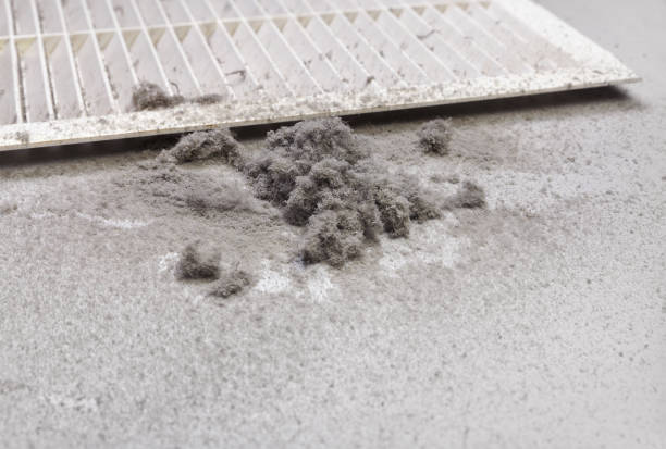 Best HVAC Duct Inspection Services  in San Antonio, FL